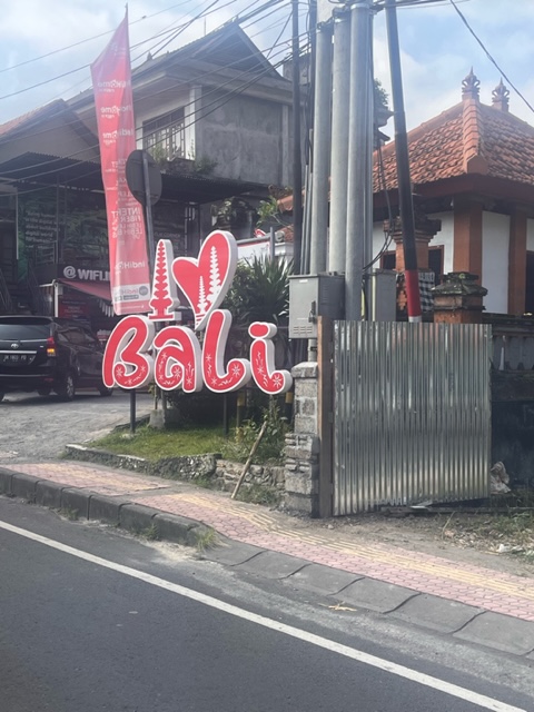 I love Bali